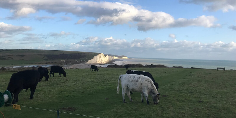 Brighton'daki En Güzel 10 Park